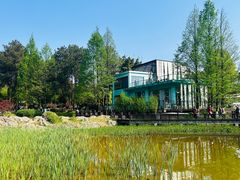 -铁山坪森林公园