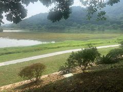 -风云岭森林公园