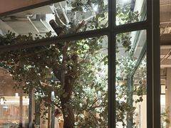 -大树餐厅(大悦城店)