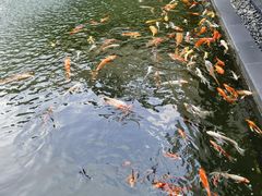 -太子园林酒家