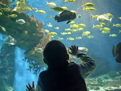 -海合安武汉极地海洋公园