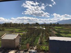 -翠田Green Field Kitchen