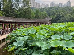 -龙头寺公园