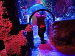 -沈阳海洋探索中心