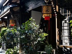 -泡桐树街