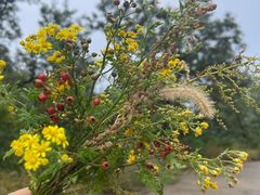 -北京西山国家森林公园