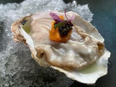 生吃新西兰生蚝-上宴精品海鲜姿造(晶融汇旗舰店)