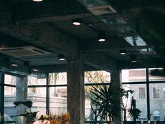 大堂-腾爱熊猫咖啡生活馆(老东门店)