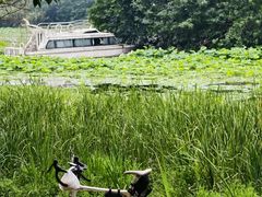 -白鹭湾湿地公园