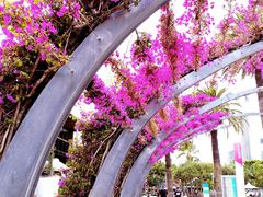 -布里斯班南岸公园