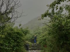 -阳台山自然风景区