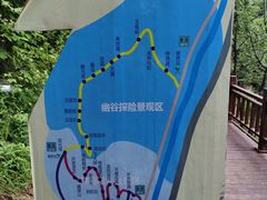 -汤旺河林海奇石景区