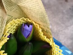 -双季花艺园艺市场(浦东店)
