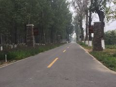 -东郊湿地公园