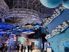 -烟台海昌鲸鲨海洋公园