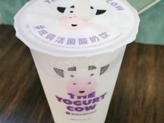 -一只酸奶牛(益州国际店)