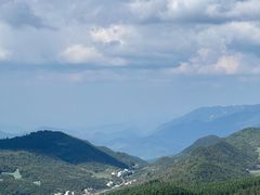 -武陵山森林公园