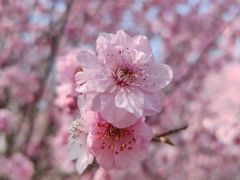 -南京中医药大学(仙林校区)