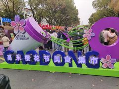 -高东镇樱花园