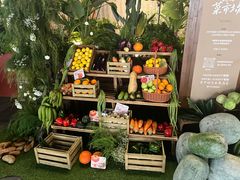 -蘑界·野生菌火锅(深业上城店)