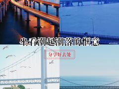 -星海湾跨海大桥
