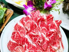 -金龙·打边炉(南京西路店)