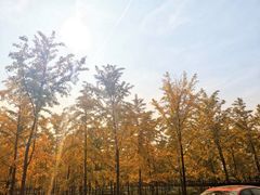 -汉景帝阳陵博物院