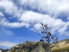 -日月山景区