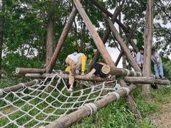 -田园东方蜜桃村的田野营地