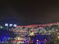 -枇杷园食为鲜火锅(南山店)