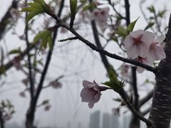 -艾溪湖湿地公园