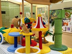 -帕帕拉兹宠物(亚洲旗舰店)