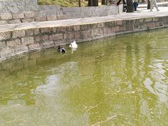 -团结湖公园