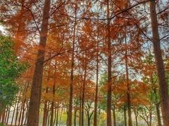 -浦星公路-路侧停车位
