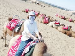 -黄沙古渡原生态旅游区