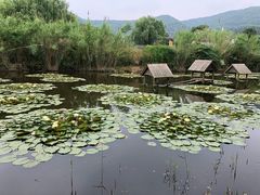 -无锡动物园·太湖欢乐园