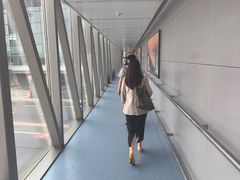 -青岛胶东国际机场