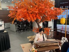 -奔驰利星行(北京花乡店)