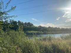 -马家湾湿地公园