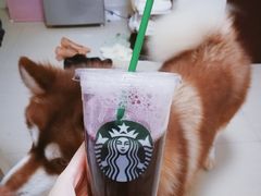 冰摇蓝莓-星巴克臻选(泉州浦西万达广场店)