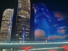 -演武大桥观景平台