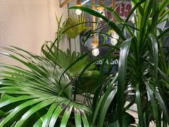 -The Good Place好地方·Brunch·coffee(国贸店)