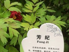 -西苑公园