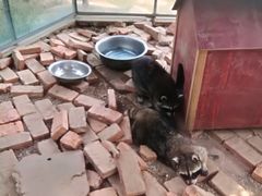 -武汉紫薇都市田园