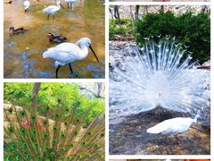 -大连老虎滩海洋公园