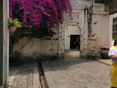 -金谷域澳洲庄园