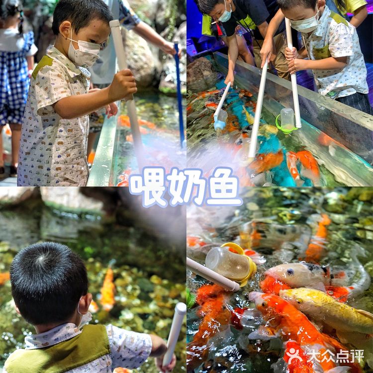 溜娃好去处｜🐠正佳极地海洋世界好玩又好睇