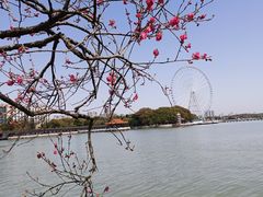 -无锡蠡湖国家湿地公园-蠡园