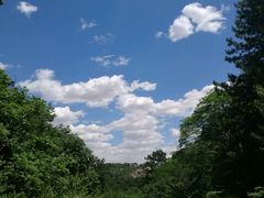 -老庞家水馅包子馆