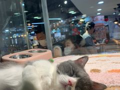 -宠物世家(仲盛世界商城店)